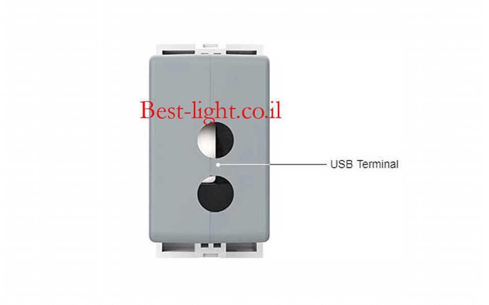 שקע טעינה USB אפור Livolo  2100mA